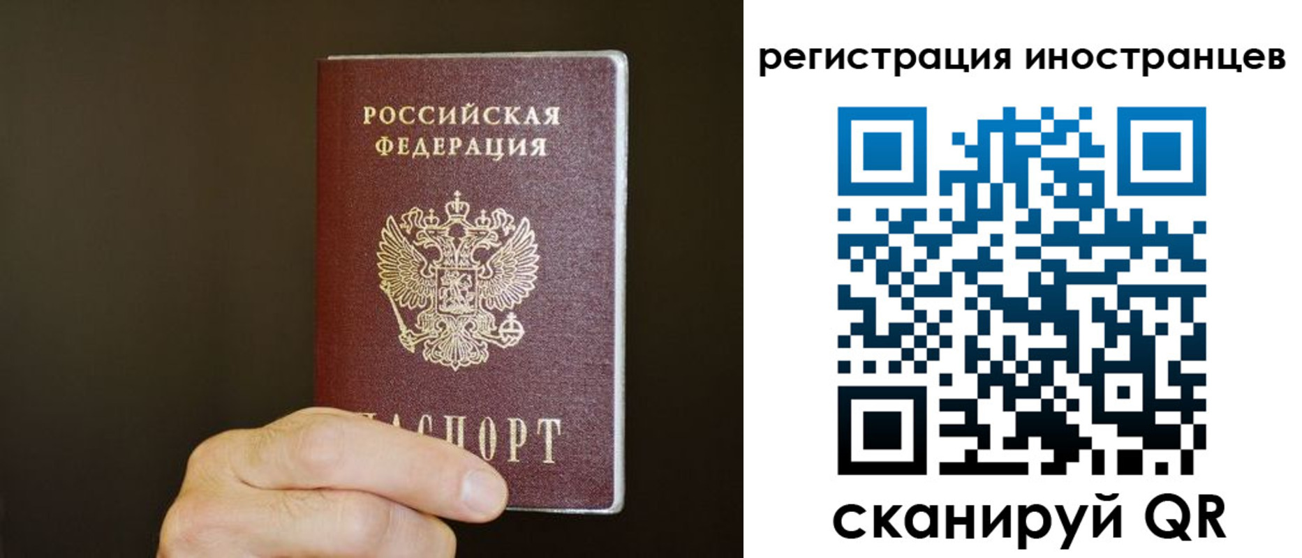 прописка в Борзе
